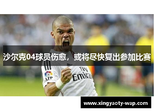 沙尔克04球员伤愈，或将尽快复出参加比赛