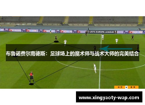 布鲁诺费尔南德斯：足球场上的魔术师与战术大师的完美结合